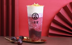 合肥有几家古茗奶茶店？七十多家店铺经营都很火热